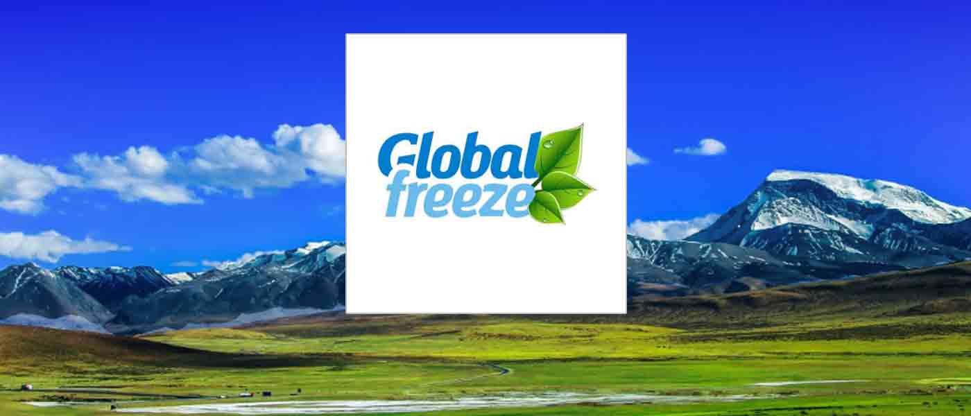 Обслуживание рефрижераторных установок Global Freez